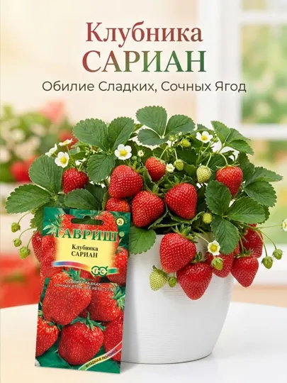 Семена клубники "Гавриш", F1, 4 шт