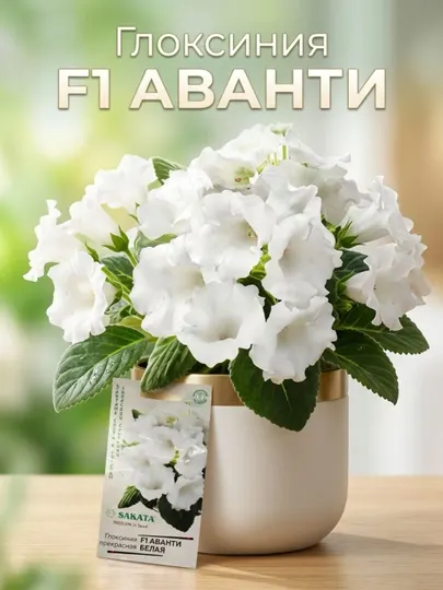Семена Глоксиния Аванти белая F1, 4 шт, элитные сорта и гибриды