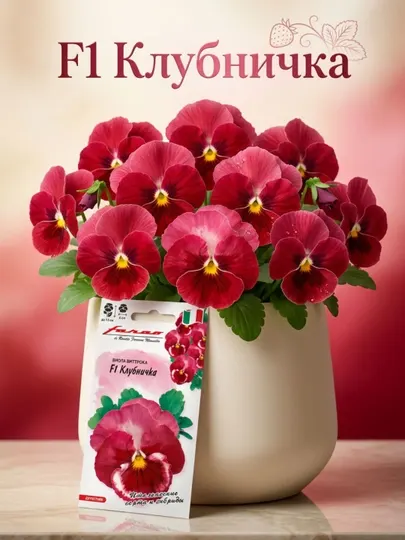 Семена Виола Виттрока Клубничка F1, анютины глазки, 5 шт