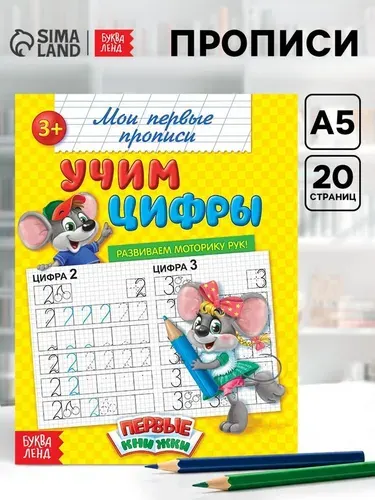 Прописи "Учим цифры", 20 стр. | Соколова Юлия Сергеевна