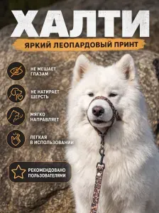 Халти для собак, морда макс 35 см., шея 35-65 см биотан ,Недоуздок, лео