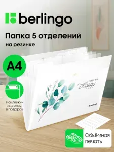 Папка для документов А4, 5 отделений