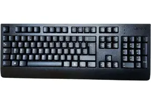 Клавиатура Lenovo SD51P48084 5D50U84654 Chicony KU-1619 английская раскладка проводная AI USB (бывшая Traditional / Prefered Pro ) русские буквы наклейки в комплекте