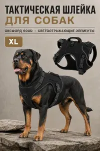 Тактическая шлейка для средних и крупных собак из Oxford 900D с ручкой, светоотражающими элементами и сумкой для пакетов