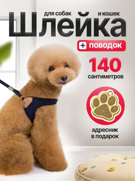 Hello family Шлейка для собак и кошек с поводком амуниция для прогулки