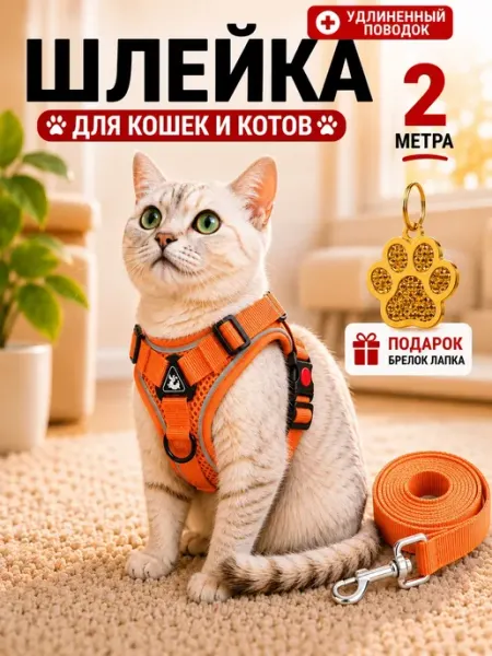 Hello family Шлейка для собак мелких средних пород и кошек с поводком