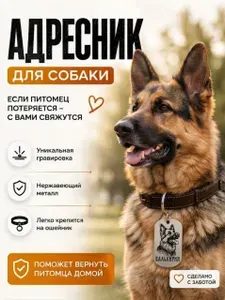 Адресник для собак с гравировкой Валькирия