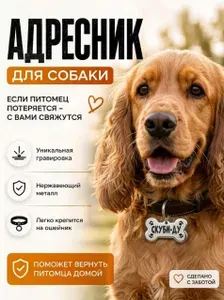 Адресник для собак с гравировкой Скуби- ду