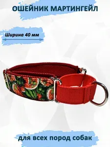 Ошейник мартингейл для собак "Арбузик" M