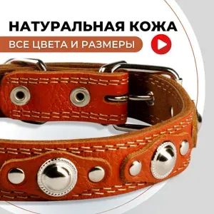 Ошейник кожаный для собак средних пород, для щенков больших собак