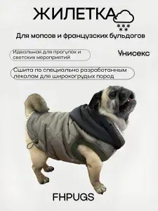 Жилет-куртка зимний для собак, размер M, зеленый, для мопсов и французских бульдогов, с капюшоном, на меху