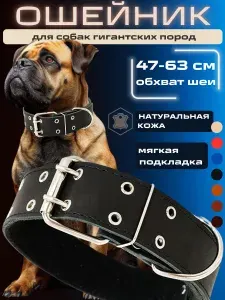 Ошейник для собак гигантских пород кожаный, размер XL 47-63 см обхват, черный