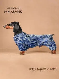 Комбинезон-дождевик для собак, утепленный, такса и корги Графика