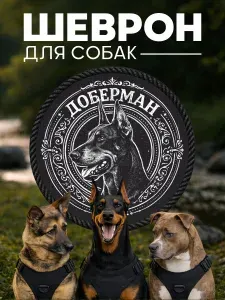 Шеврон на липучке для собак Доберман