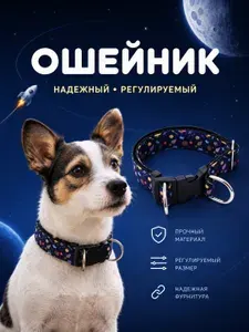 Ошейник для собак средних пород "Космос"