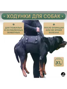 Ходунки для собак