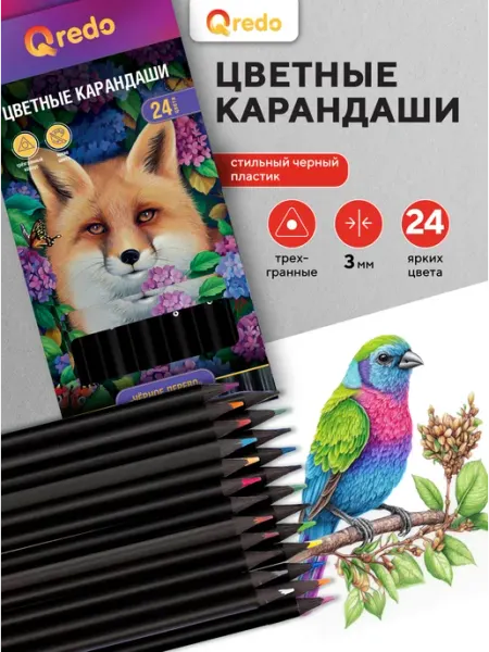 Цветные карандаши трехгранные, 24 штуки QREDO