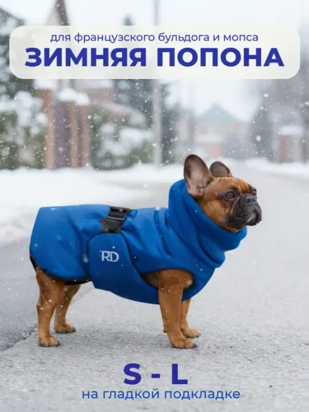 Попона жилет для собак фр.бульдог, мопс василек василек ГП RD
