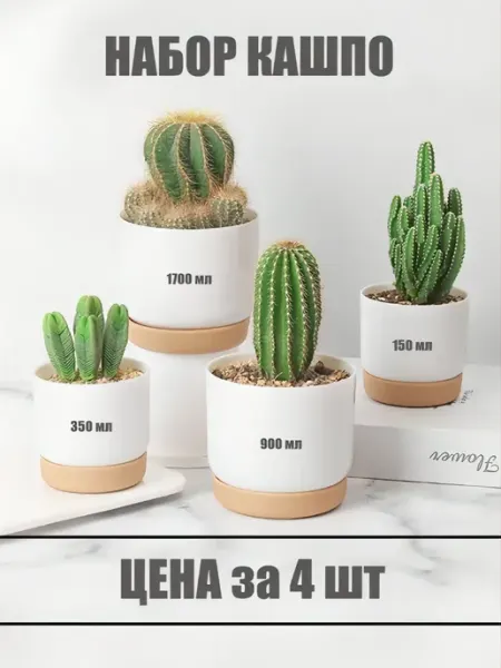 Набор пластиковых кашпо с фитильным поливом 4 шт Агрофирма Кабачок