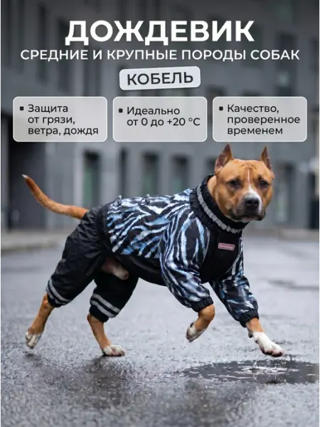 Дождевик для собак крупных и средних пород мальчик ForMyDogs