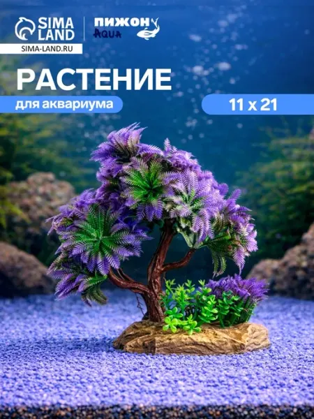 Декоративное растение для аквариума и террариума Нет бренда