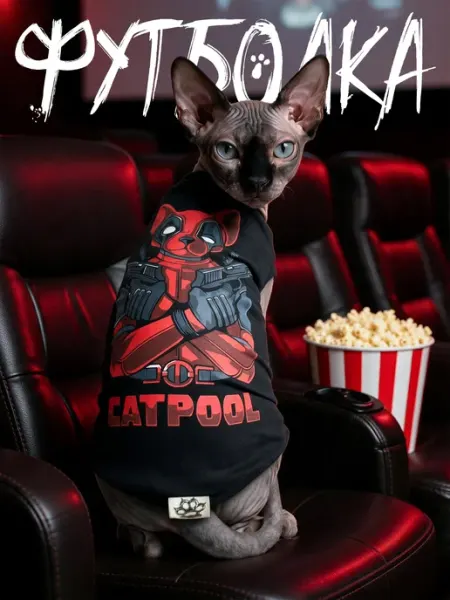 Одежда для кошек сфинкс. Футболка для кота и кошки, XL