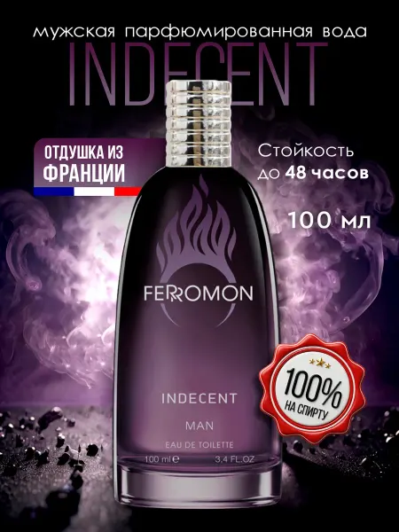 FERROMON Мужские духи стойкие Indecent 100 мл