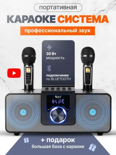 Караоке система с беспроводными микрофонами CRAZY PIXEL