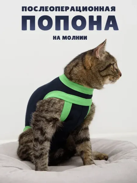 Попона послеоперационная для кошек на молнии, вес - 1,3-1,7к