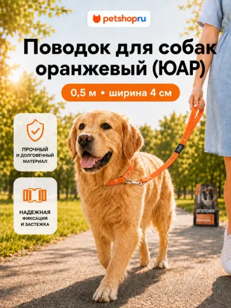 Поводок для собак оранжевый 0,5 м ширина 4 см Rogz (ЮАР) PetShop