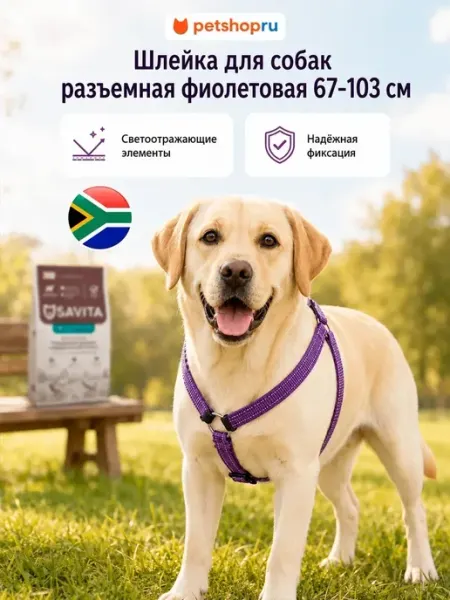 Шлейка для собак разъемная фиолетовая 67-103 см Rogz (ЮАР) PetShop