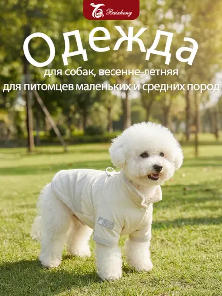 Одежда для собак, весенне-летняя