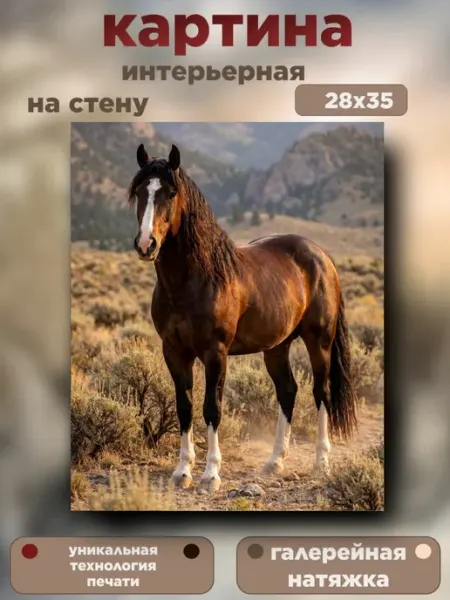 Картина на холсте "Душа вольного ветра" 28х35см Интерьерный штрих