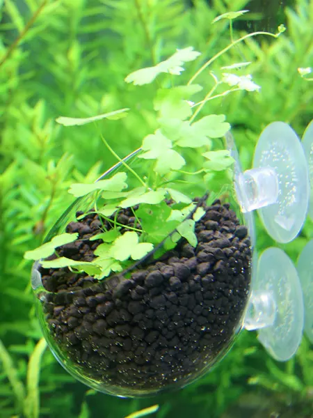 VSE Fish Стеклянный горшок для аквариумных растений