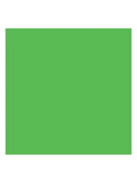 Фон пластиковый 1x1,3м Spring Green 7100 светло-зел SUPERIOR
