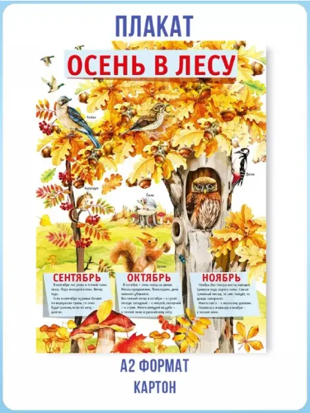 Плакат осень в лесу сентябрь октябрь ноябрь 1АClass