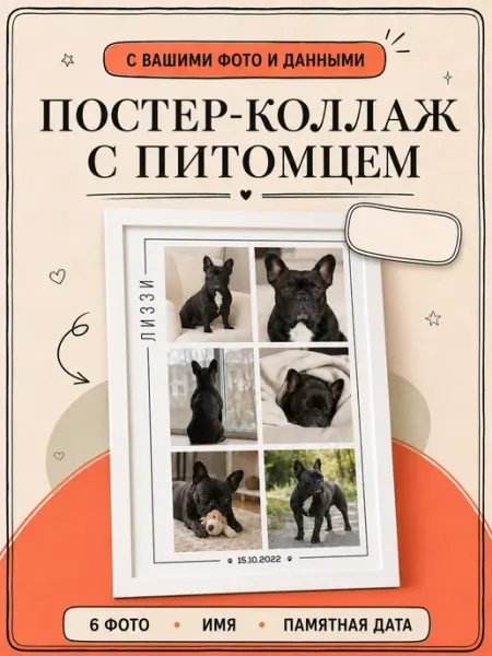 Постер на заказ по фото питомца без рамки А4 21*30 см