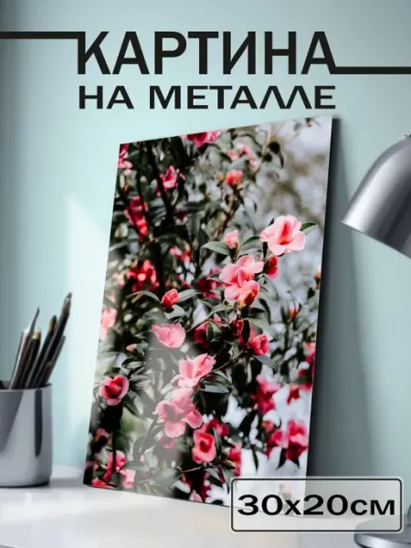 Постер на стену цветы BELOUSOV