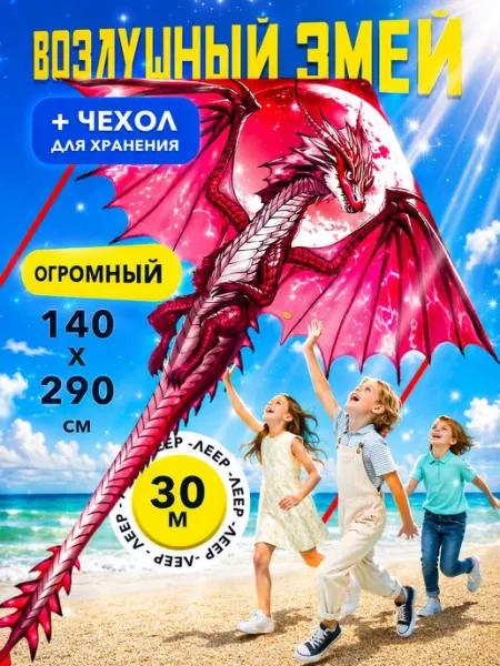 Большой детский воздушный змей + ЧЕХОЛ Дракон Smart Toy