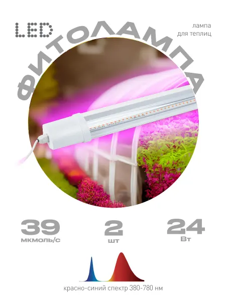 ЭРА Фитосветильник светодиодный FITO-24W-RB-N красно-синего