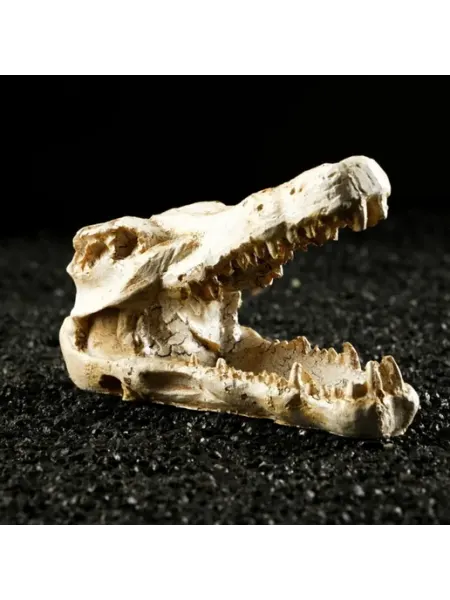 Декор для аквариума Череп крокодила 13 см Пижон Аква