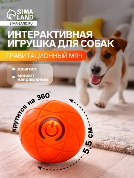 Гравитационный мяч для собак 5.5 см оранжевый Нет бренда