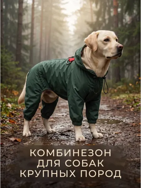 Дождевик комбинезон для собак средних и крупных пород Arnydog