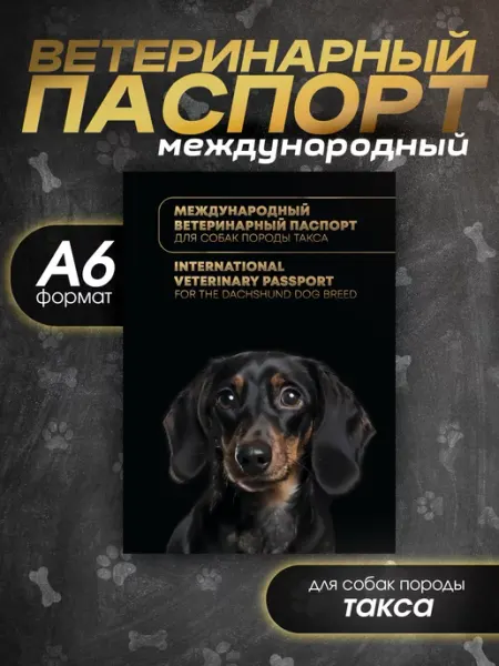 Ветеринарный паспорт для собак породы такса Bamboook