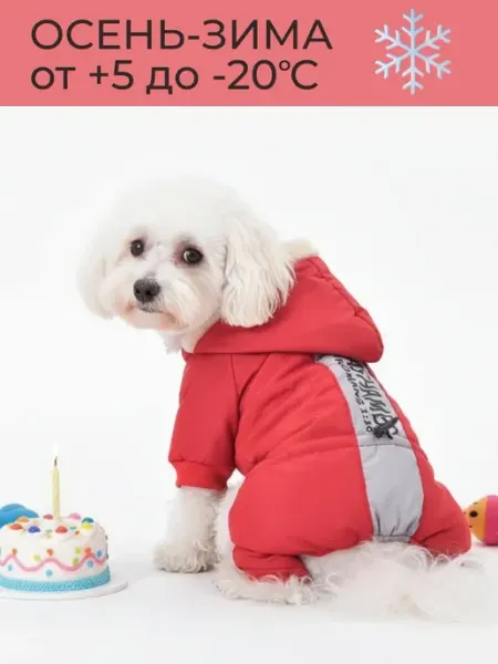 Комбинезон для собак мелких и средних MAX Dog luck