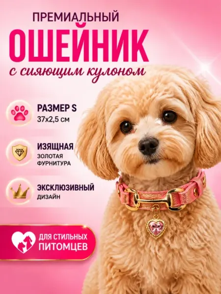 Кожаный ошейник для маленьких собак кошек с кулоном DOGTRAIN