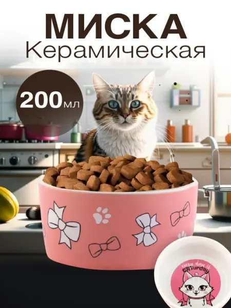 Керамическая миска для кошек 200 мл In Mother's Hands