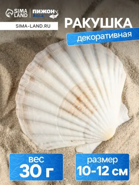 Декоративная ракушка Гребешок для аквариума Пижон Аква