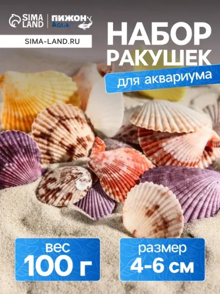 Набор ракушек Пектен для аквариумов и террариумов Пижон Аква