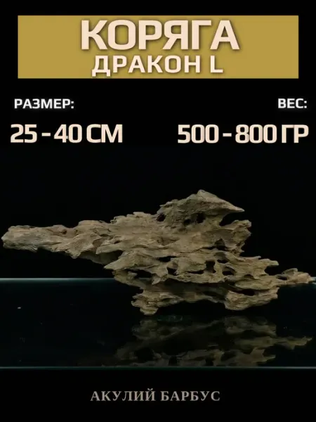 Натуральная коряга Дракон для аквариума террариума S АКУЛИЙ БАРБУС
